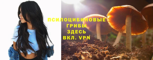 наркотики Алексеевка