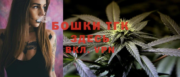 бошки Алзамай
