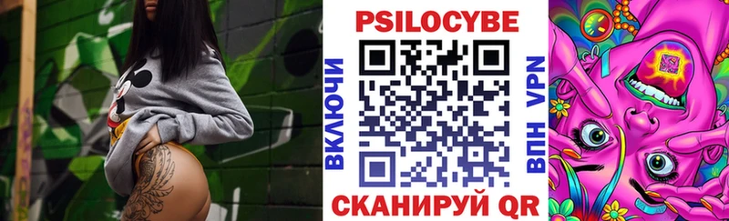 Псилоцибиновые грибы Psilocybine cubensis  OMG ТОР  Котово 